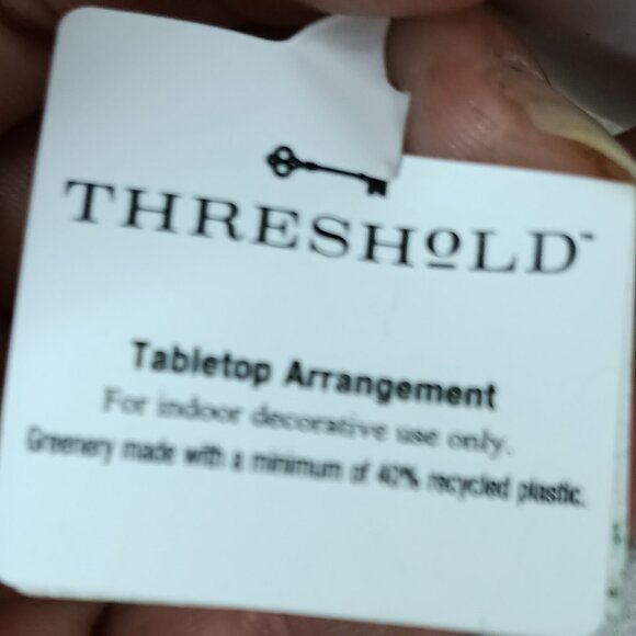 3.5 '' Mini Tabletop Succulent Artificial Plant - Threshold, new - Picture 2 of 8